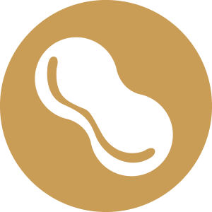 Nutallergy
